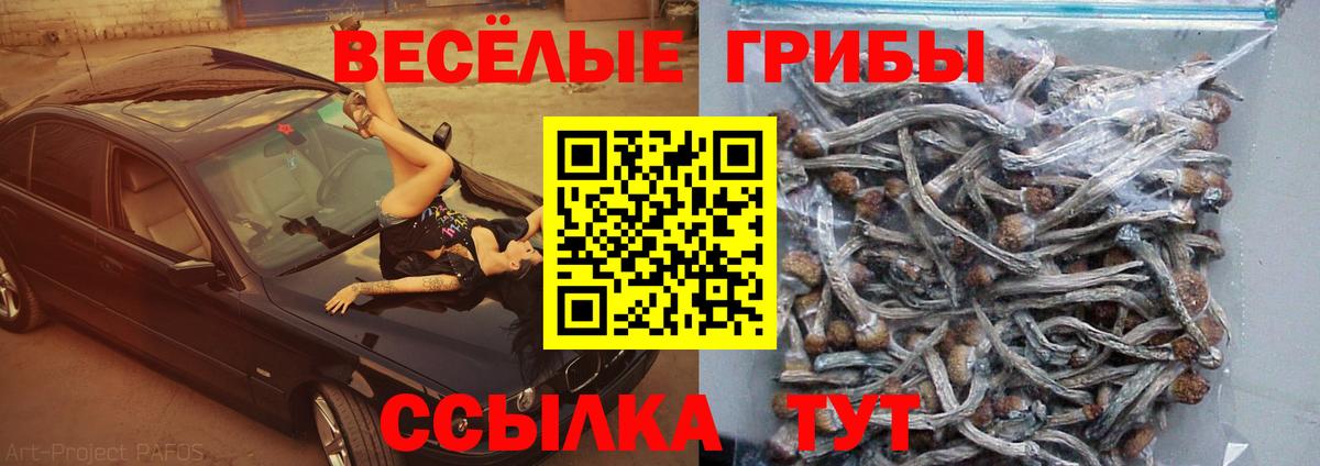 Владивосток  сколько стоит  Вход с VPN  Псилоцибиновые грибы Magic Shrooms 